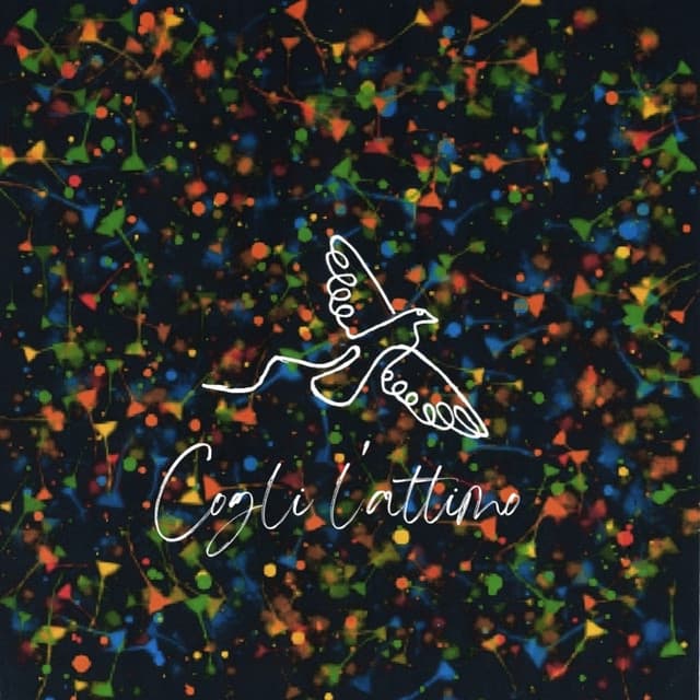 COGLI L'ATTIMO cover